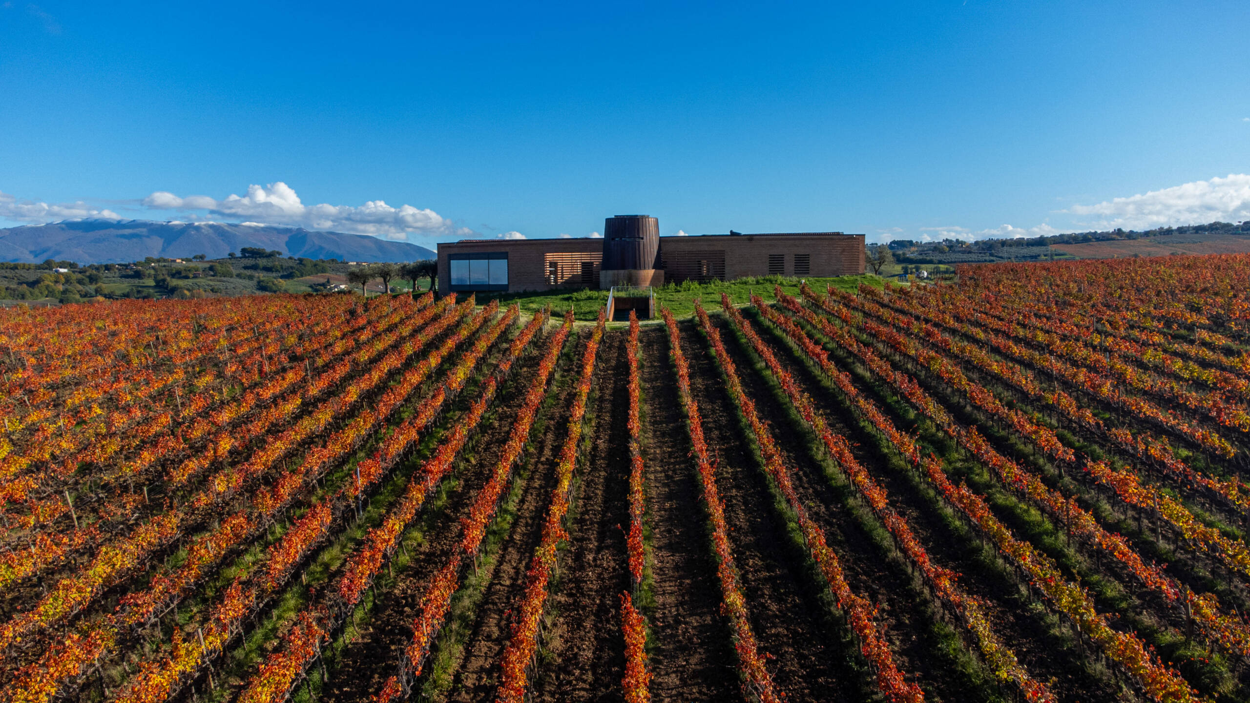 “Welcome to Montefalco” Tour and Tasting
